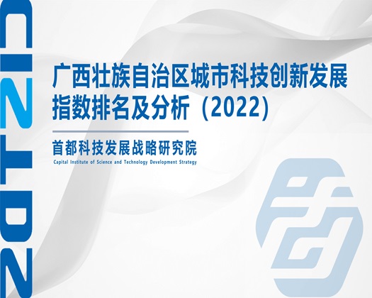 艹大鸡巴视频免费观看【成果发布】广西壮族自治区城市科技创新发展指数排名及分析（2022）